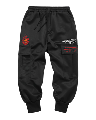 Jogger Charizard